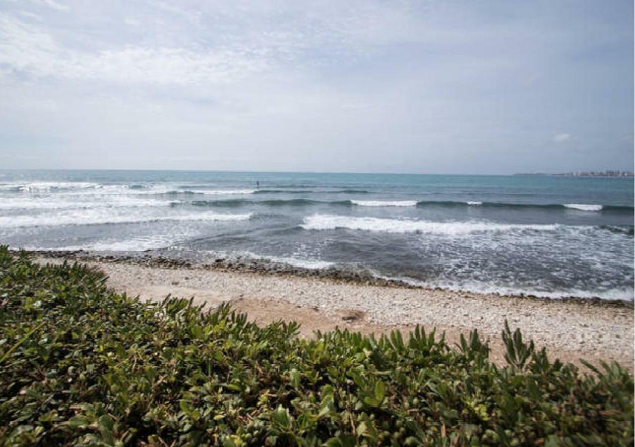 Apartamento Cabo Azul Playa Campello เอลกัมเปโญ ภายนอก รูปภาพ